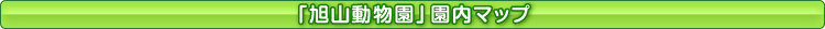 入場券付 入場券付
