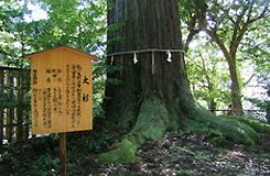 山陰イメージ