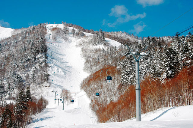 富良野スキー場