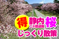 さくら(イメージ)