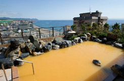 ホテル平成館海羊亭