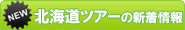 �k�C���c�A�[�̐V�����