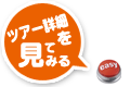 ツアー詳細
