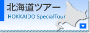 �k�C���c�A�[�ꗗ