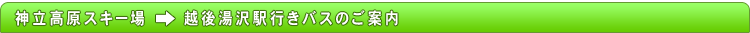 �_�������X�L�[�� �V���g���o�X�̂��ē�