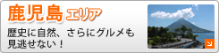 �������G���A�i�r