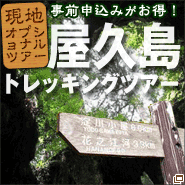 現地オプション屋久島トレッキング