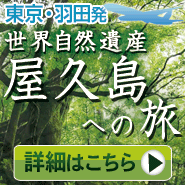 屋久島ツアー特集 トップページへ