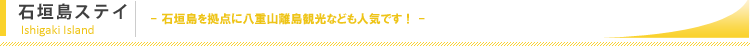 �Ί_���X�e�C