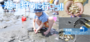 潮干狩りバスツアー