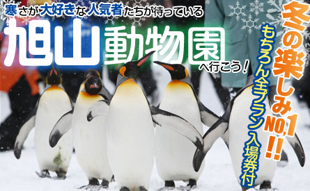 全国各地発・旭山動物園ツアー特集