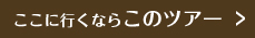 ここに行くならこのツアー