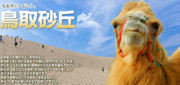 鳥取砂丘ツアー特集
