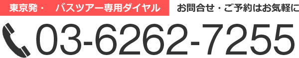 お問合せ・ご予約はお気軽に 03-6262-7255