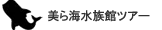 沖縄 美ら海水族館ツアー