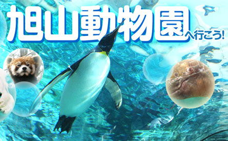 全国各地発・旭山動物園ツアー特集