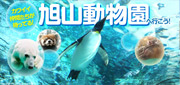 全国各地発・旭山動物園ツアー特集