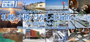 冬の札幌・小樽・旭山動物園を満喫♪ANA北海道キャンペーン特集