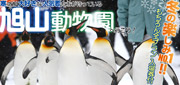 東京発・旭山動物園ツアー特集
