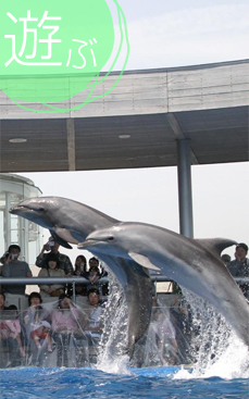 大分マリーンパレス水族館「うみたまご」