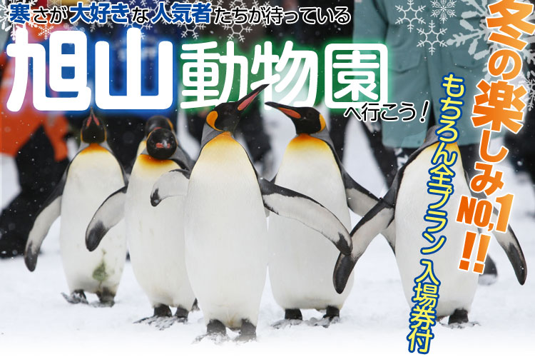 旭山動物園ツアー特集