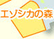 エゾシカの森