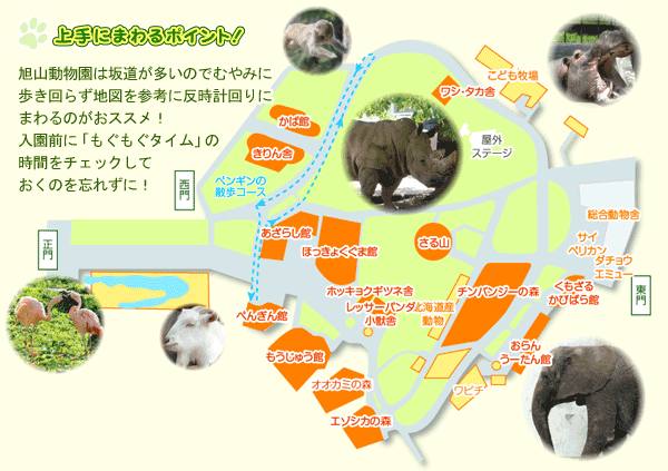 旭山動物園 園内図