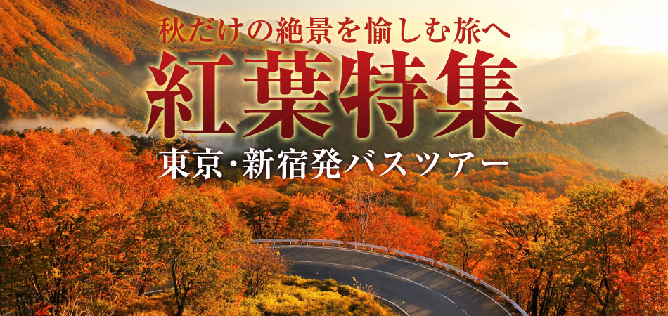 【東京・新宿発】紅葉バスツアー特集