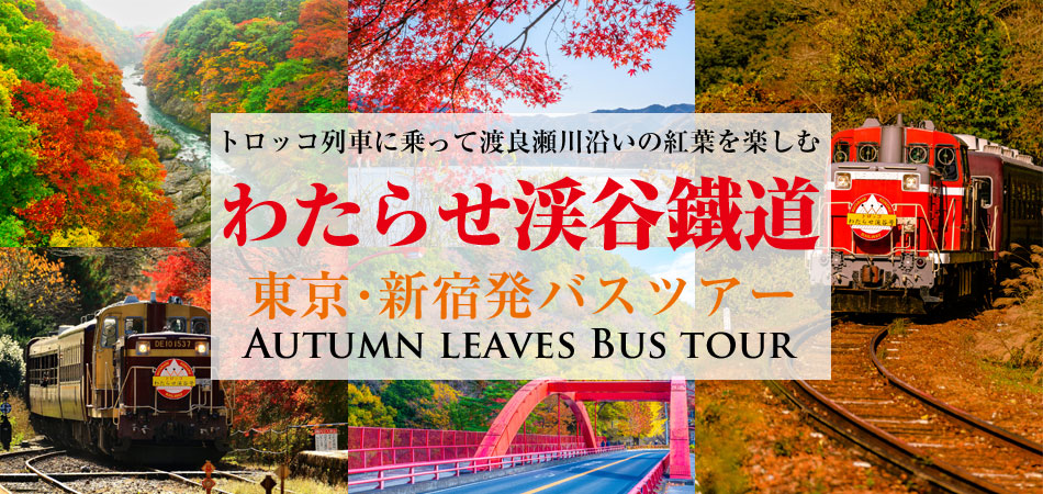 トロッコわたらせ渓谷号で紅葉を見るバスツアー