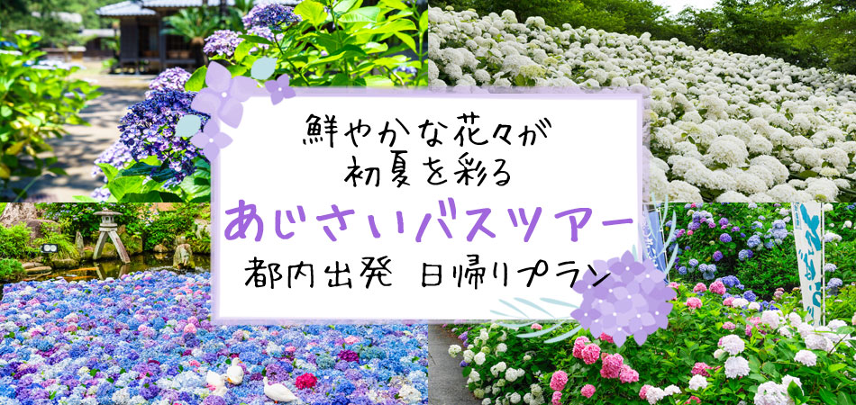 ◆ノー皺加工最高級クールパス◆紫陽花（あじさい）花の夏浴衣◆洗えるしわにならない お任せ下駄、画像と同じ帯、お任せ帯締めつき◇ノー皺加工最高級