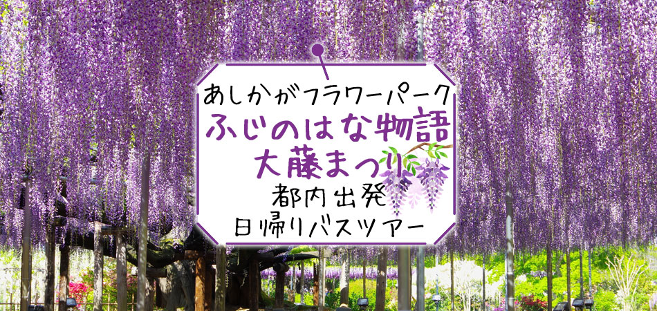 あしかがフラワーパーク大藤バスツアー