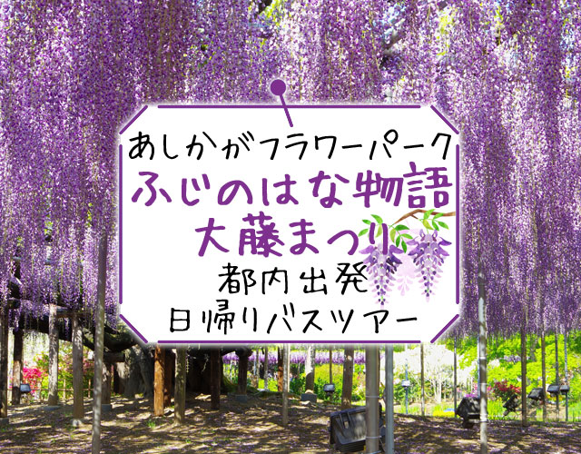 あしかがフラワーパーク大藤バスツアー