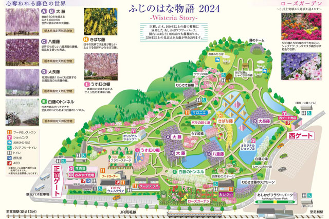大藤まつり 園内MAP