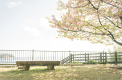 今井浜温泉付近
