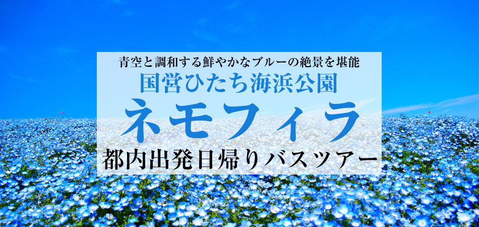 ネモフィラパネル1