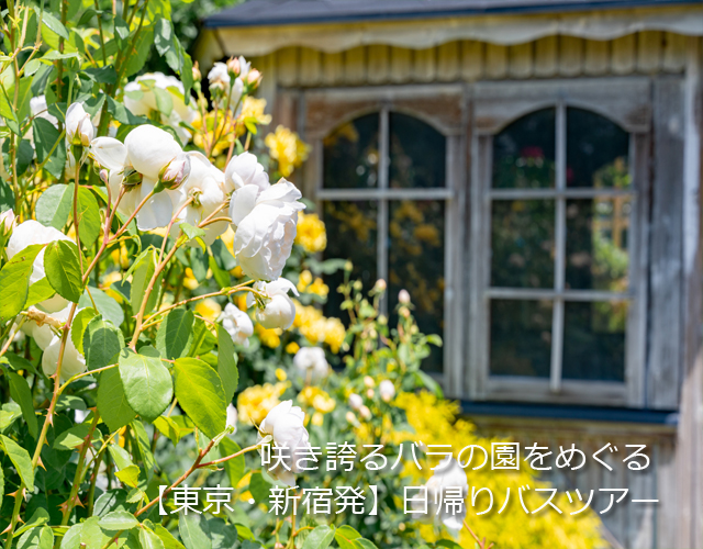 ばら園パネル