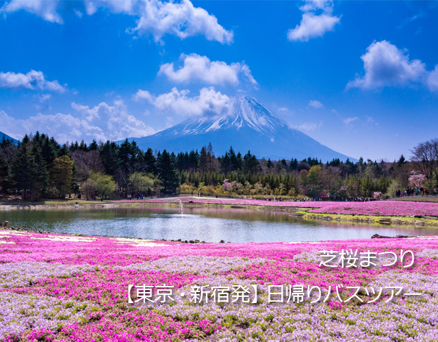 芝桜パネル2