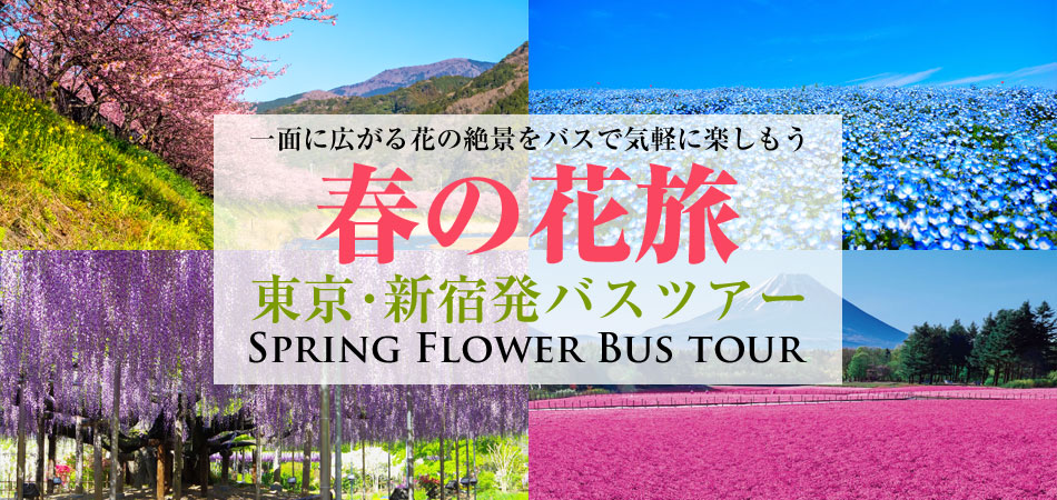 季節の花特集
