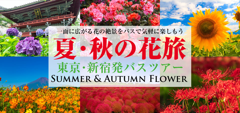季節の花特集