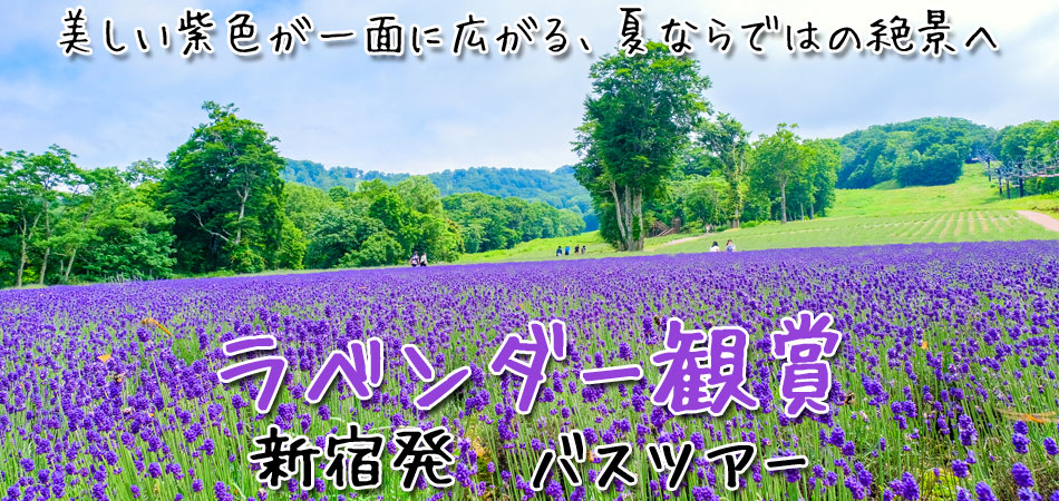 ラベンダー観賞バスツアー