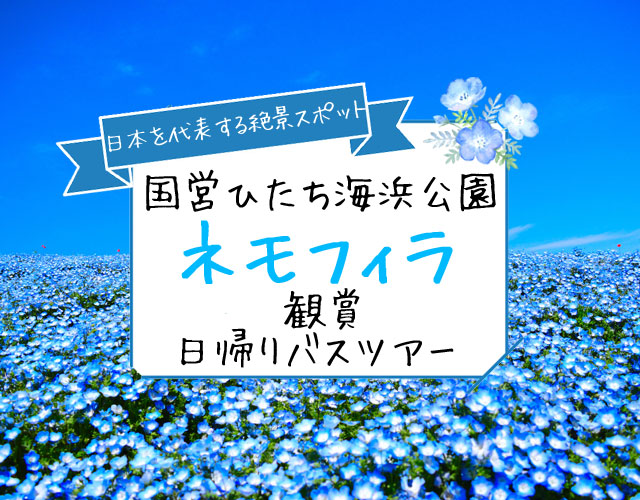 ネモフィラバスツアー