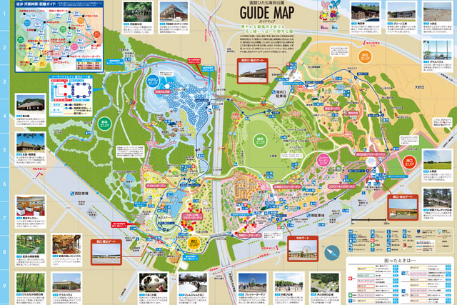 国営ひたち海浜公園 園内MAP