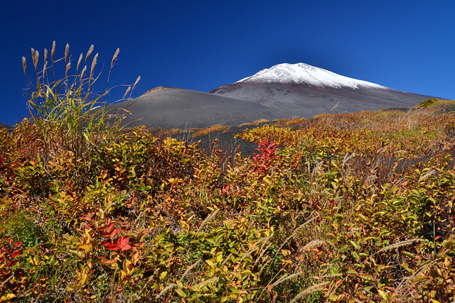 富士山イメージ