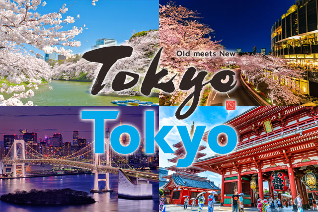 もっとTokyo対象プラン