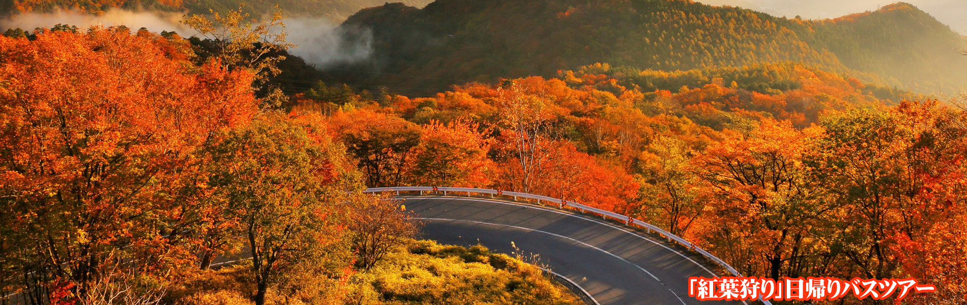 紅葉バスツアー特集