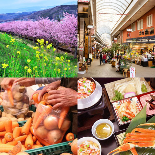 ツアーイメージ