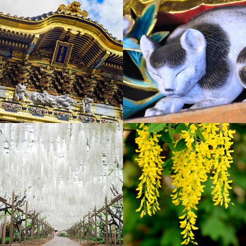 ツアーイメージ