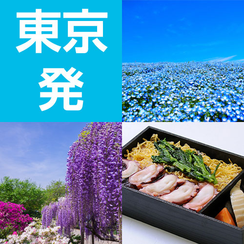 ツアーイメージ