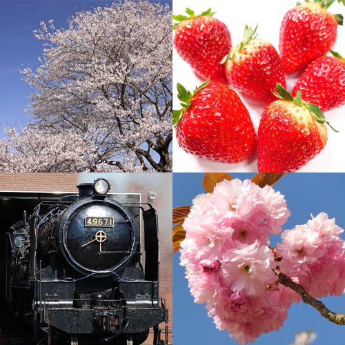 ツアーイメージ