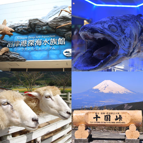 ツアーイメージ